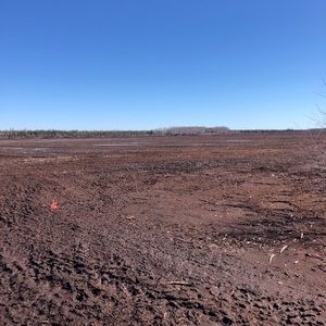 Meet your Posher, Brennon